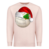 Pale Pink Christmas sports Premium Sweatshirt - BarkalooDesign