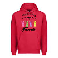 Cardinal Teaching My Favorite Bunny Premium Hoodie - Bettercallsaul