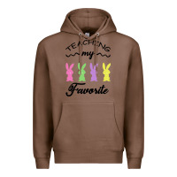 Chestnut Teaching My Favorite Bunny Premium Hoodie - Bettercallsaul