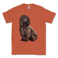 Copper Boykin Spaniel Dog Classic Tee - LillyAllenDesigns