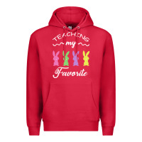 Cardinal Teaching My Favorite Bunny Premium Hoodie - Bettercallsaul