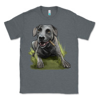 Charcoal Heather Texas Blue Lacy Dog Classic Tee - LillyAllenDesigns