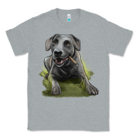 Heather Grey Texas Blue Lacy Dog Classic Tee - LillyAllenDesigns