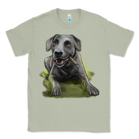 Matcha Texas Blue Lacy Dog Classic Tee - LillyAllenDesigns