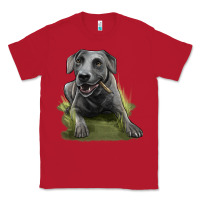 Red Texas Blue Lacy Dog Classic Tee - LillyAllenDesigns