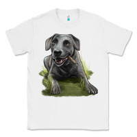 White Texas Blue Lacy Dog Classic Tee - LillyAllenDesigns