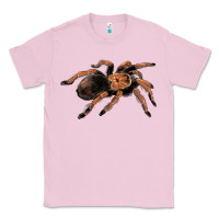 Bubblegum Pink Mexican Red Knee Tarantula Classic Tee - LillyAllenDesigns