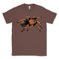 Chestnut Mexican Red Knee Tarantula Classic Tee - LillyAllenDesigns