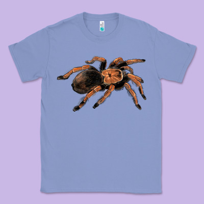 Mexican Red Knee Tarantula Classic Tee Designed By Lillyallendesigns