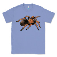 Colony Blue Mexican Red Knee Tarantula Classic Tee - LillyAllenDesigns