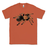Copper Mexican Red Knee Tarantula Classic Tee - LillyAllenDesigns