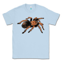 Dusty Blue Mexican Red Knee Tarantula Classic Tee - LillyAllenDesigns