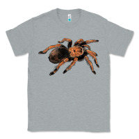 Heather Grey Mexican Red Knee Tarantula Classic Tee - LillyAllenDesigns