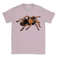 Lilac Mexican Red Knee Tarantula Classic Tee - LillyAllenDesigns