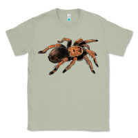 Matcha Mexican Red Knee Tarantula Classic Tee - LillyAllenDesigns