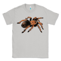 Moon Dust Mexican Red Knee Tarantula Classic Tee - LillyAllenDesigns