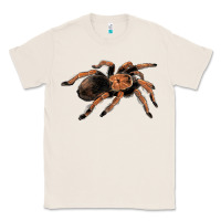 Natural Mexican Red Knee Tarantula Classic Tee - LillyAllenDesigns