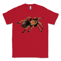 Red Mexican Red Knee Tarantula Classic Tee - LillyAllenDesigns
