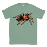 Sage Mexican Red Knee Tarantula Classic Tee - LillyAllenDesigns