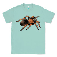 Seafoam Mexican Red Knee Tarantula Classic Tee - LillyAllenDesigns