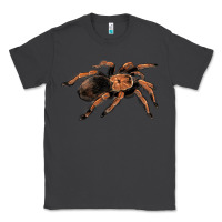 Smoke Mexican Red Knee Tarantula Classic Tee - LillyAllenDesigns