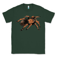 Sports Green Mexican Red Knee Tarantula Classic Tee - LillyAllenDesigns