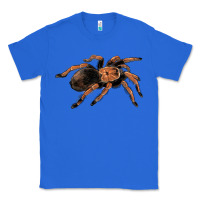 True Royal Mexican Red Knee Tarantula Classic Tee - LillyAllenDesigns
