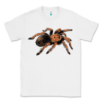 White Mexican Red Knee Tarantula Classic Tee - LillyAllenDesigns