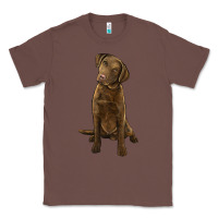 Chestnut chesapeake bay retriever Classic Tee - LillyAllenDesigns