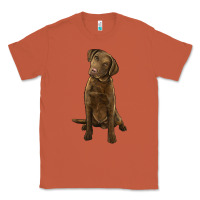 Copper chesapeake bay retriever Classic Tee - LillyAllenDesigns