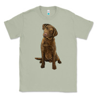 Matcha chesapeake bay retriever Classic Tee - LillyAllenDesigns