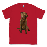 Red chesapeake bay retriever Classic Tee - LillyAllenDesigns