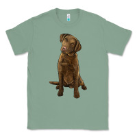 Sage chesapeake bay retriever Classic Tee - LillyAllenDesigns
