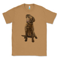 Toasted Coconut chesapeake bay retriever Classic Tee - LillyAllenDesigns