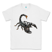 White scorpion Classic Tee - LillyAllenDesigns