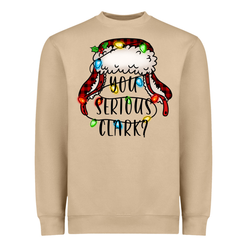You Serious Clark Heavyweight Sweatshirt by Jasminsmagicworld | Teevron
