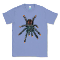 Colony Blue Pink Toe Tarantula Classic Tee - LillyAllenDesigns