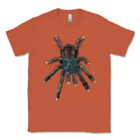Copper Pink Toe Tarantula Classic Tee - LillyAllenDesigns