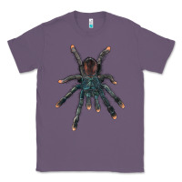 Lavender Pink Toe Tarantula Classic Tee - LillyAllenDesigns