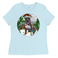 Baby Blue Pitbull And Farm Ladies Tee - RanaPortraitStore