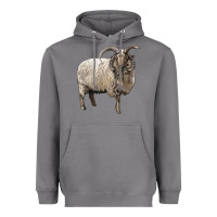 Storm navajo churro sheep Heavyweight Hoodie - LillyAllenDesigns