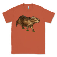 Copper Capybara Classic Tee - LillyAllenDesigns