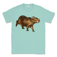 Seafoam Capybara Classic Tee - LillyAllenDesigns