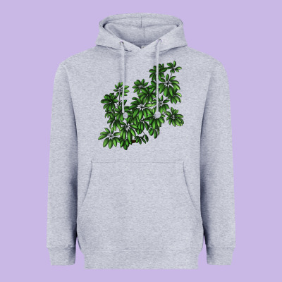Botanical Schefflera Illustrations Heavyweight Hoodie Designed By Lillyallendesigns