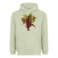 Matcha Croton Heavyweight Hoodie - LillyAllenDesigns