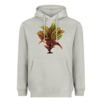Moon Dust Croton Heavyweight Hoodie - LillyAllenDesigns