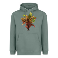 Sage Croton Heavyweight Hoodie - LillyAllenDesigns
