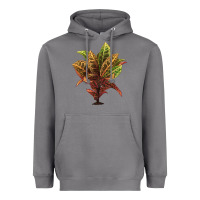 Storm Croton Heavyweight Hoodie - LillyAllenDesigns
