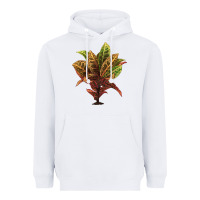 White Croton Heavyweight Hoodie - LillyAllenDesigns