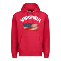 Cardinal VIRGINIA Premium Hoodie - Bettercallsaul